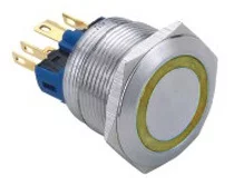 Vandal proof push button switch; W22F11EY24/S