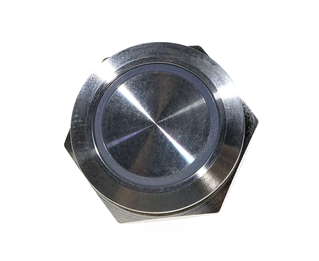 Przełącznik&nbsp;wandaloodporny;&nbsp;W19F1SEG24/S&nbsp;wiresL