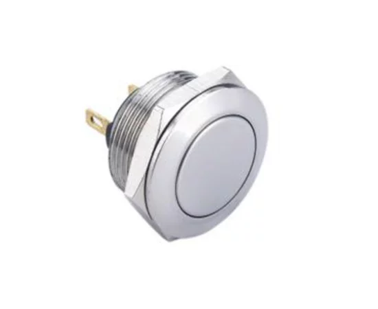 Vandal proof push button switch; W19F10R/S