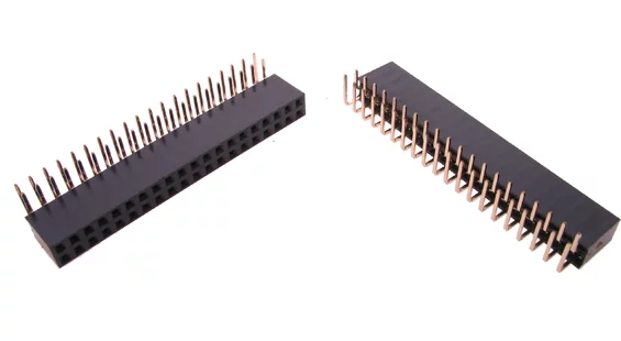 DS1024-2x20R2