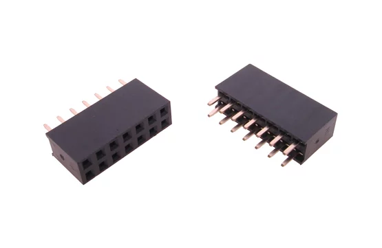 DS1023-2x07S21