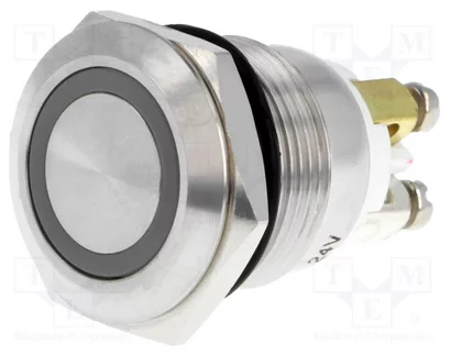 GQ19F-10E/GB/24/S RoHS || Vandal proof push button switch; GQ19F-10E/GB/24/S 