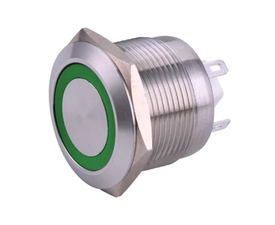 Vandal proof push button switch; W22F10EG24/S