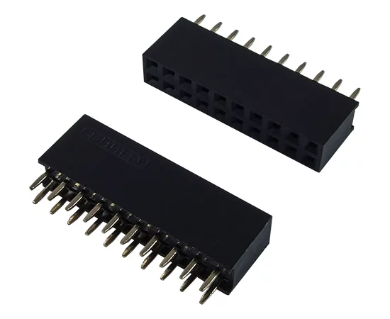 DS1023-2x10S21