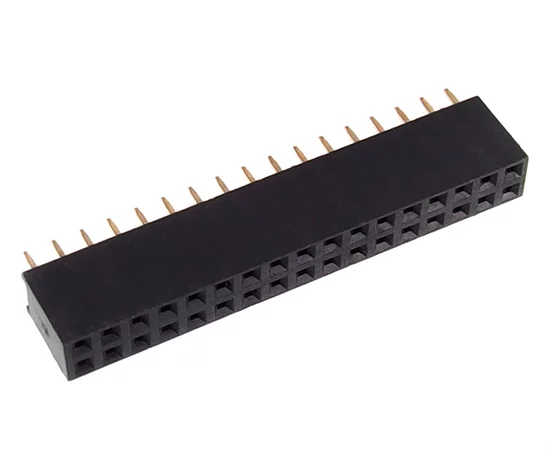 DS1023-2x17S21