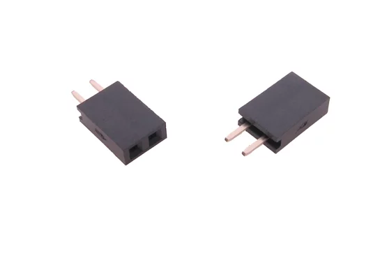 DS1023-1x2S21