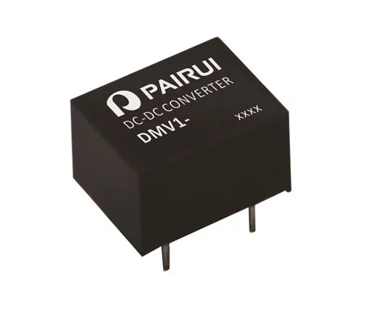 DMV1-0521&nbsp;PAIRUI