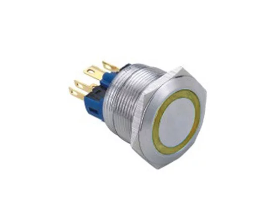 Vandal proof push button switch; W22F11EY12/S