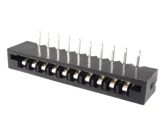 DS1020-10RT1D RoHS || Z FNE10r