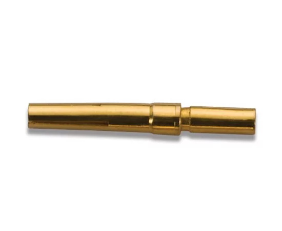 CSGF-0.25 WAIN