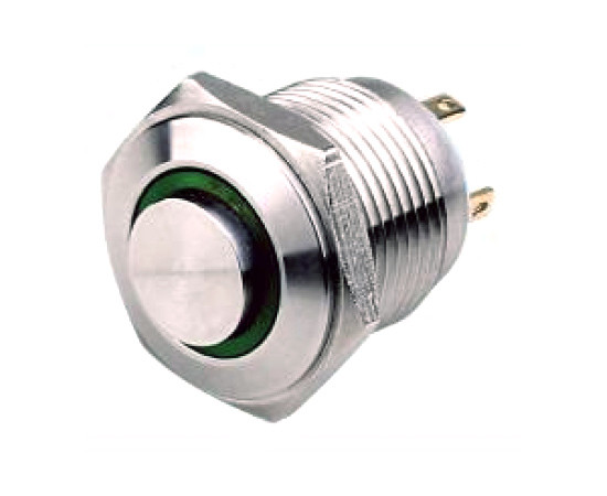 Vandal proof push button switch; W16H10REG12/S