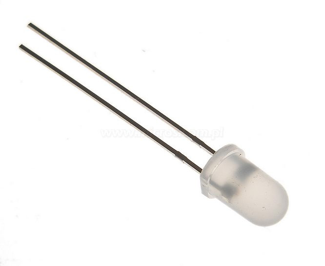 OLYZ.5m0010-2