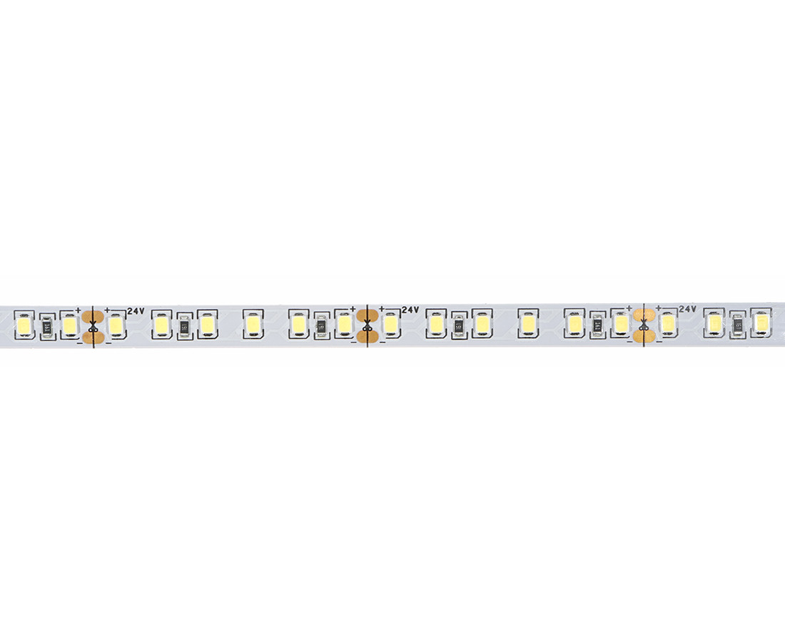 Taśma LED 2835/120 zimna 24V IP20