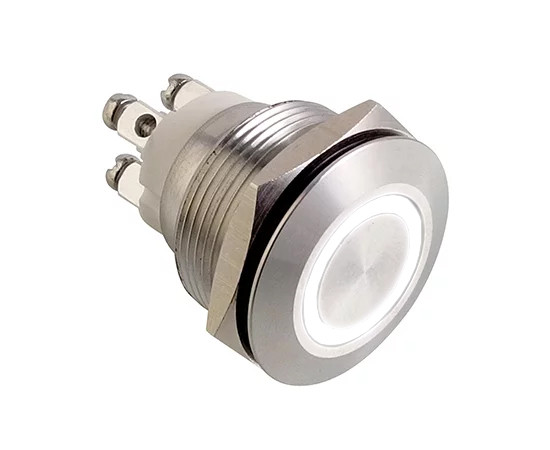 Vandal proof push button switch; W22F11EW12/S