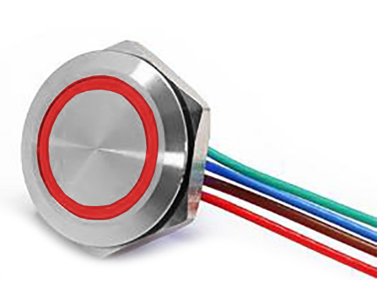 Przełącznik wandaloodporny; W19F1SER24/S wiresL