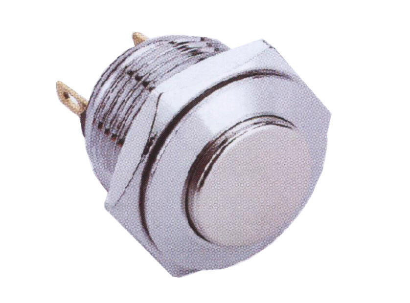 Vandal proof push button switch; W16H10R/C