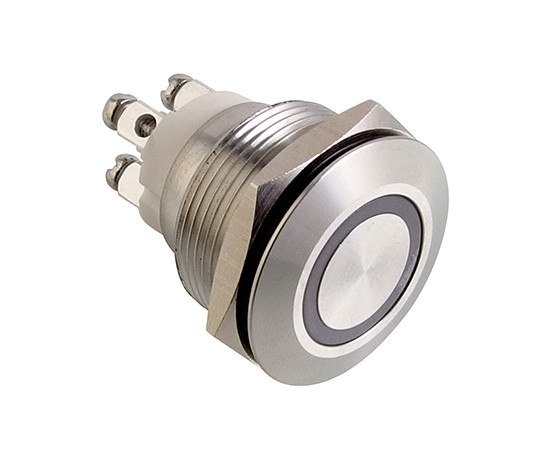 Vandal proof push button switch; W22F11EW12/S