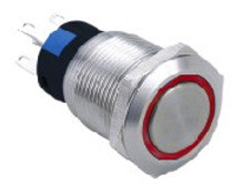 Vandal proof push button switch; W19F11ER24/S