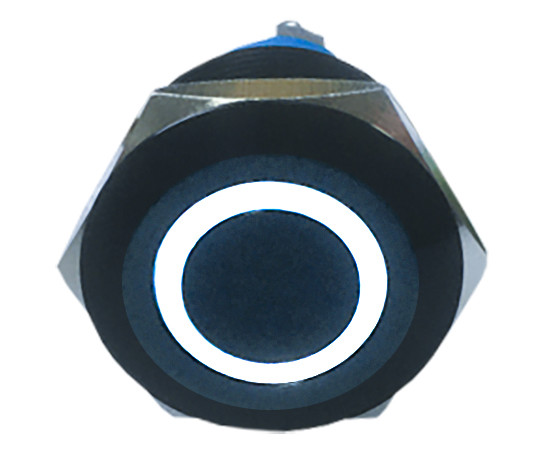 Vandal proof push button switch; W22F11EW12/S B