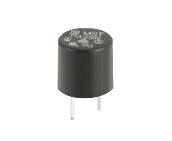 0034.6620 Schurter Fuse