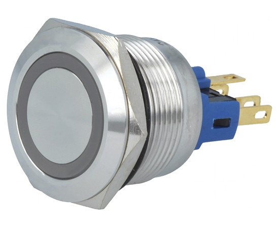 Vandal proof push button switch; GQ22-11E/R/24V 