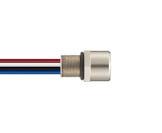 M8 type connector, WAIN M8-F03-BK-M8-W0.25, female, angled, number of contacts: 3