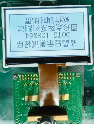 P241002QA Palmtech