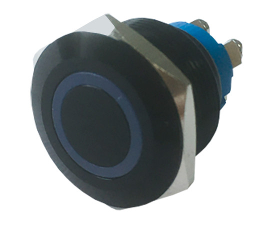 Vandal proof push button switch; W22F11EW12/S B