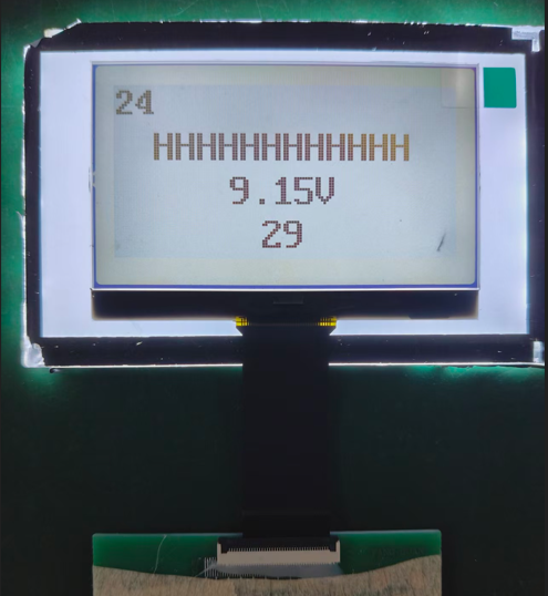 P241004I Palmtech