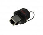 RJ45F71 RoHS || Z RJ45F71