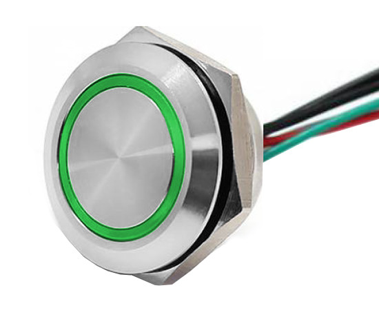 Przełącznik wandaloodporny; W19F1SEG12/S wires