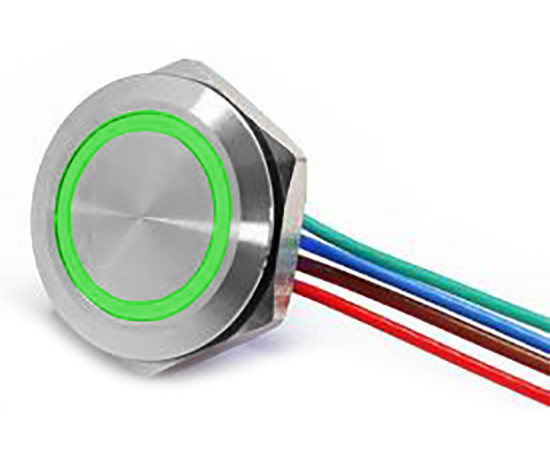 Przełącznik wandaloodporny; W19F1SEG24/S wiresL