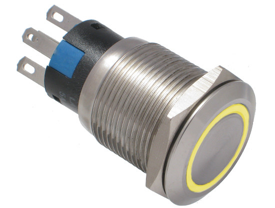 Vandal proof push button switch; W19F11EY12/S
