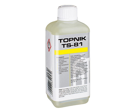 CH Top-TS81-100