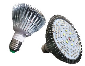 Oświetlenie LED dla uprawy roślin